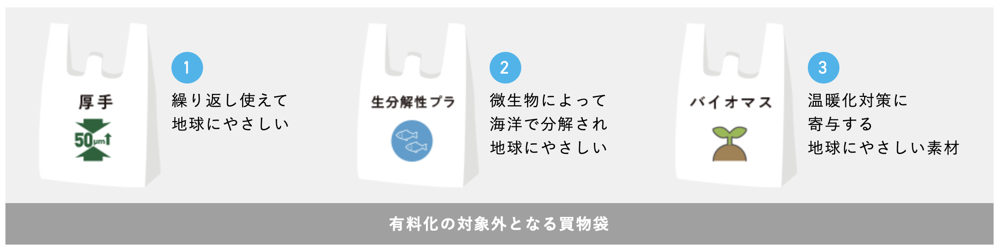 レジ袋の削減と有料化 小倉りえこ Activity Log